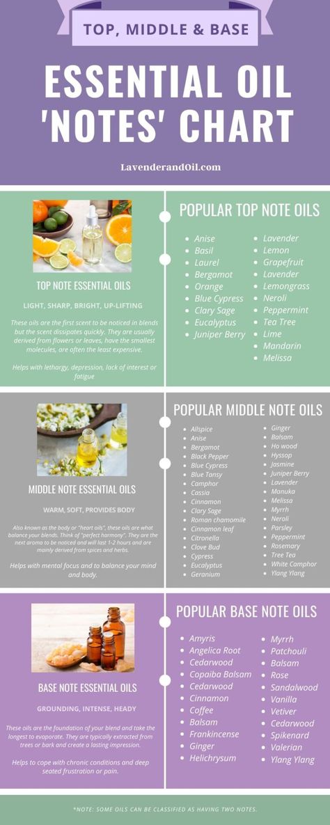 Essential Oil Chart, Notes Essentials, Essential Oil Perfumes Recipes, Perfume Notes, Are Essential Oils Safe, Essential Oil Diffuser Blends Recipes, Perfume Recipes, Making Essential Oils, Essential Oils Guide