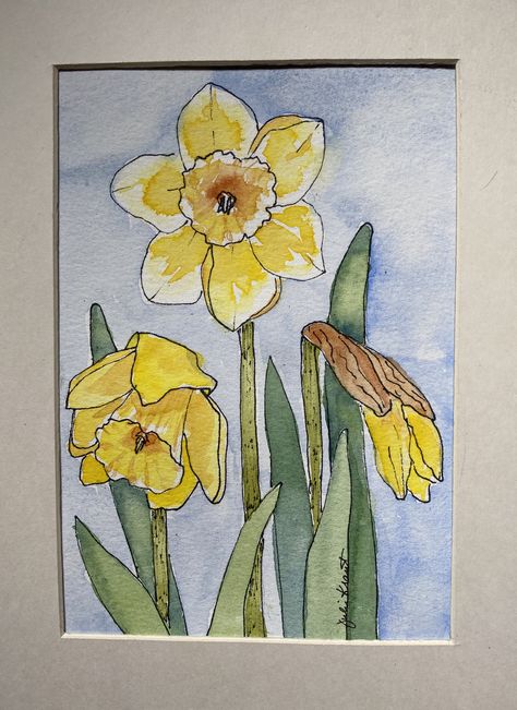 Watercolor Daffodils Easy, Painted Daffodils Acrylic, Daffodil Paintings, Watercolour Daffodils, Daffodil Drawing, Watercolor Daffodils, Daffodil Watercolor, Daffodil Painting, Sick Drawings