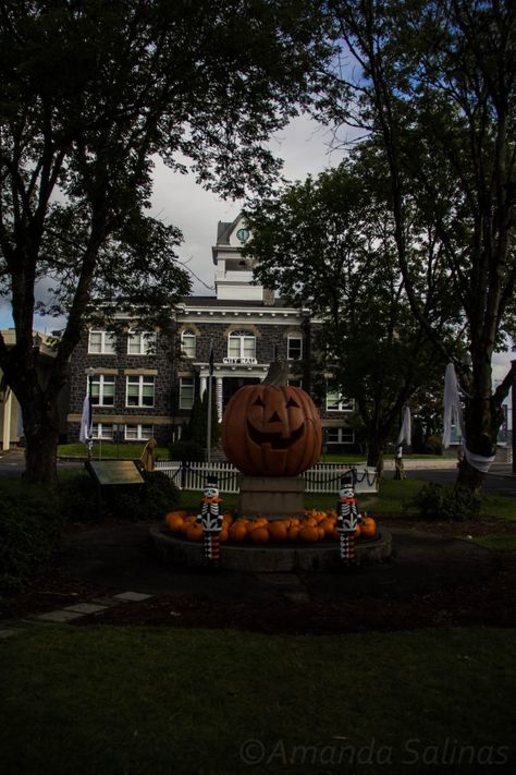 Oregon Halloween, St Helens Oregon, Huge Pumpkin, Decorate For Halloween, Disney Channel Movies, Basic Witch, Twilight Movie, St Helens, Oregon Travel