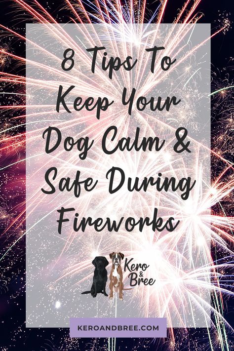 Fireworks can be a scary time if you're a dog. It leads to many dogs feeling terrified and stressed. For those of us with dogs scared of fireworks, our number one priority is to keep them calm and safe. In this post, we share our 8 top tips to keep your dog calm and safe during fireworks | #dogfireworks #dogsandfireworkstips #dogsfireworkssafety #dogfireworkanxiety #dogownertips #dogtips Dog Scared Of Fireworks, Dogs And Fireworks, House Training Puppies, Dog Minding, Easiest Dogs To Train, Dog Behavior Problems, Pack Leader, Film Score, Calm Dogs