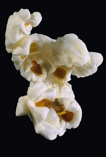 Palomita 3. Cinema Collage, Popcorn Drawing, Popcorn Photography, Mr Pop, Popcorn Art, Popcorn Salt, Popcorn Packaging, Still Life Reference, Art Of Cinema