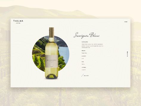 Wine Advertising Design, Wine Brochures, Wine Presentation, Wine Advertising, Wine Presents, Elearning Design, Wine Book, Menu Inspiration, Business Website Design