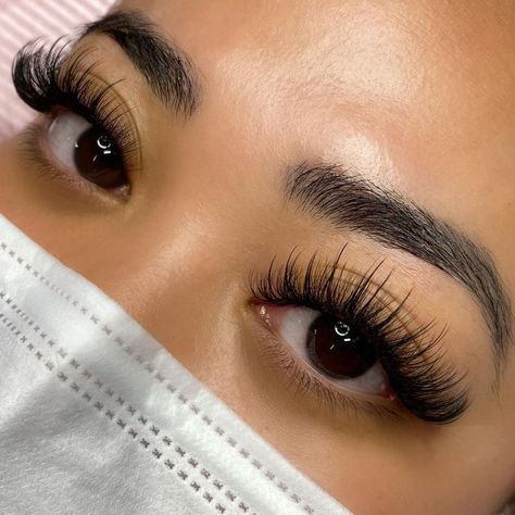 Classic Individual Lashes, Russian Eyelash Extensions, Best Eyelash Glue, Natural Fake Eyelashes, Best Lash Extensions, Lashes Fake Eyelashes, Professional Eyelash Extensions, Lash Extensions Styles, Eyelash Extensions Styles