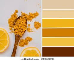 Palette Lemon Turmeric Colours Yellow Browm Stock Photo (Edit Now) 1023273850 Website Color Palette, Colors Inspiration, Pencak Silat, Color Palette Bright, Nature Color Palette, Color Wheel, Nature Decor, Black Accents, Stop Motion