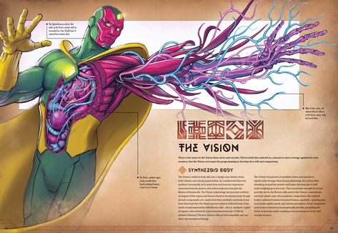 Face Simple Drawing, Marvel Anatomy, Vision Marvel, Superhero Facts, Marvel Concept Art, Marvel Character Design, Marvel Cartoons, Marvel Superheroes Art, Vision Art