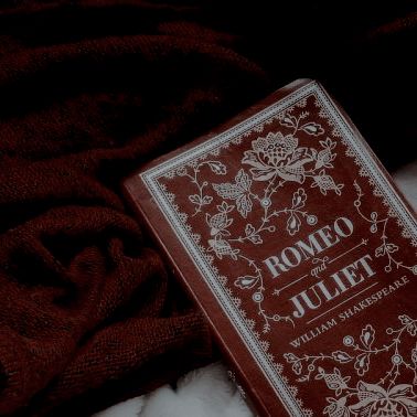 Gryffindor Aesthetic, Buku Harry Potter, Hogwarts Aesthetic, Harry Potter Aesthetic, Hogwarts Houses, Dark Academia Aesthetic, Academia Aesthetic, Red Aesthetic, Romeo And Juliet