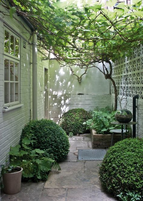 Mini Courtyard Garden, Shady Courtyard Garden, Narrow Side Of House Ideas, Townhouse Courtyard, Tiny Courtyard Garden, City Courtyard, Modern Gardening, Creating A Garden, Gardening Tips For Beginners