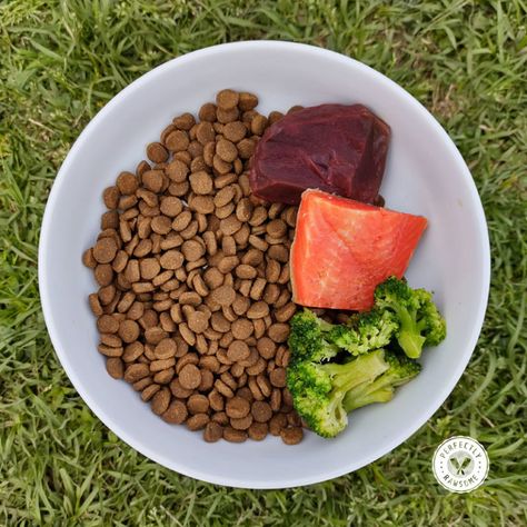 Dry Dog Food Add Ins, Dogs Bowls, Raw Feeding For Dogs, Belgium Malinois, Puppy Development, Raw Dog Food Diet, Dog Treats Homemade Easy, Colorful Hairstyles, Dog Room