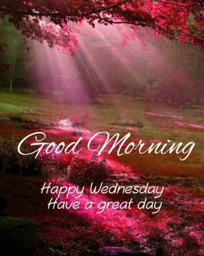 Wednesday Morning Images, Wednesday Morning Greetings, Happy Friday Pictures, Wednesday Morning Quotes, Wednesday Greetings, Free Good Morning Images, Friday Pictures, Morning Quotes For Friends, Good Wednesday