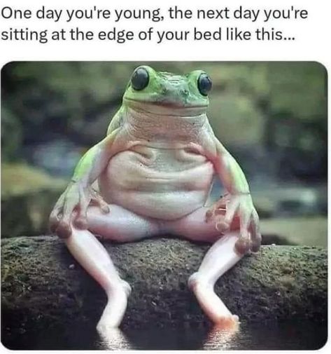 18 relatable getting older memes that poke fun at the realities of aging - Care.com Resources Getting Old Meme, Frog Meme, Summer Fitness, Old Memes, Getting Older, Funny Frogs, Memes Humor, Summer Body, Summer Is Here