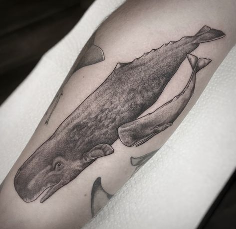 Black and gray sperm whale tattoo with sperm whale baby on arm Sperm Whale Tattoo, Ocean Tattoo Ideas, Jean Designs, Whale Tattoo, Ocean Tattoo, Whale Tattoos, Sperm Whale, Tattoo Inspirations, A Whale