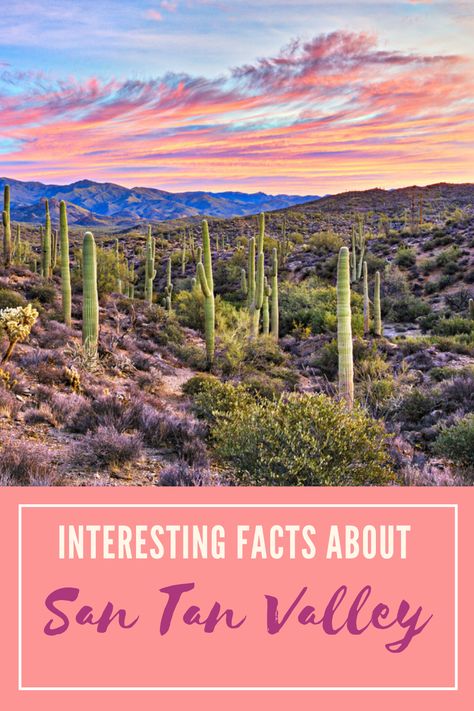 Moving To Arizona, San Tan Valley Arizona, 10 Interesting Facts, Park Trails, Arizona Travel, Interesting Facts, Facts About, Travel Ideas, Fun Facts