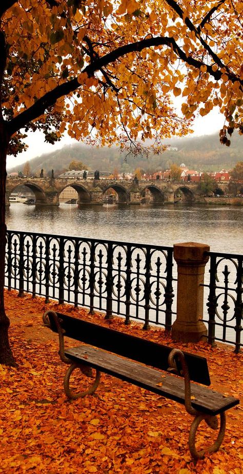 #Autumn #Prague is real romance... Season of wine festivals and hot drinks is approaching! Charles Bridge, Countries To Visit, Autumn Scenery, Autumn Beauty, Fall Pictures, Life Story, Autumn Aesthetic, Fall Wallpaper, A Park