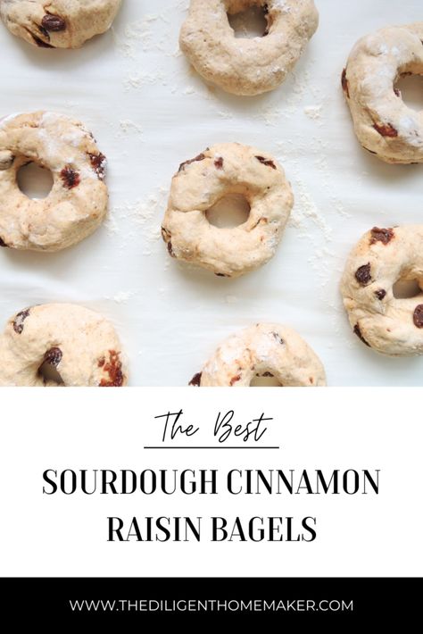 Sourdough Cinnamon Raisin Bagels, Cinnamon Raisin Sourdough Bagels, Sourdough Cinnamon Raisin, Sourdough Desserts, Sourdough Bagel, Cinnamon Raisin Bagels, Raisin Bagels, Nourishing Breakfast, Recipe Using Sourdough Starter