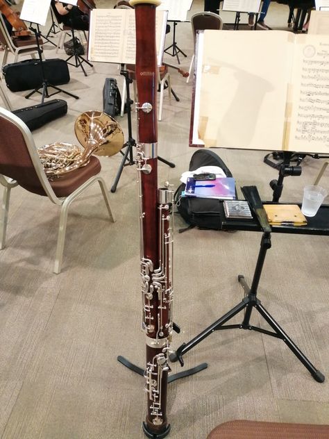 Bassoon Aesthetic, Pretty Instruments, Bassoon Instrument, Band Nerd, Bassoon, Random Facts, 2025 Vision, Band Stuff, Oboe