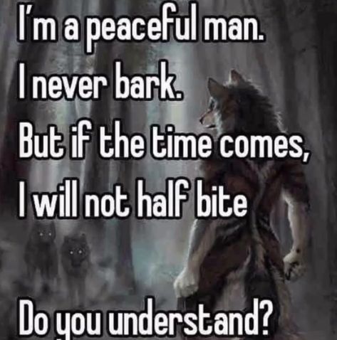 Emo Alpha Wolf, Alpha Wolf Quotes, Emo Wolf, Wolf Alpha, Alpha Quote, Wolf Meme, Alpha Werewolf, Alpha Wolf, Wolf Quotes