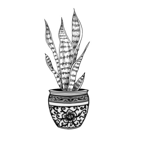 Pot Plant Tattoo, Planter Tattoo, Snake Plant Tattoo, Potted Plant Tattoo, Flower Pot Tattoo, Plant Tattoo, Snake Plant, Flash Tattoo, I Tattoo