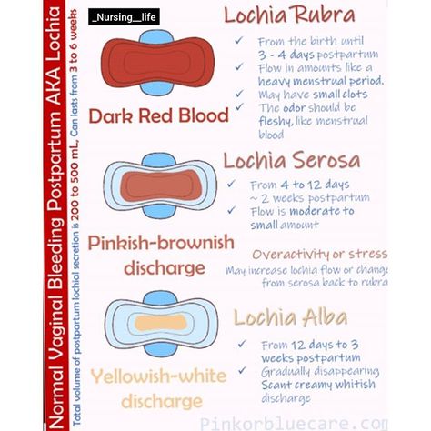 Obstetrics Nursing, Midwifery Student, Postpartum Nursing, Birth Education, Student Midwife, Nursing Study Guide, Nursing Mnemonics, Ob Nursing, Pharmacology Nursing