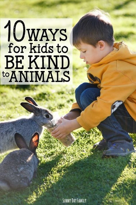 Celebrate Be Kind to Animals Week with these 10 kindness activities for kids! Help kids learn about kindness to animals with pet activities and kindness to animals in their world. So many ideas to practice caring and empathy to animals! Animal Kindness, Pet Care Printables, Empathy Activities, Kindness To Animals, Kids Preschool Learning, Animal Activities For Kids, Kindness Activities, Animals Care, Diy Chicken