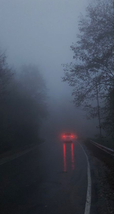 Twilight Rain Aesthetic, Rain And Fog Aesthetic, Twilight Forest Wallpaper, Fog Aesthetic Dark, Foggy Day Aesthetic, Tvd Aesthetic Wallpaper, Aesthetic Rain Wallpaper, Rain Astethic, Dark Rain Aesthetic