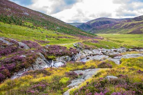 Ben Nevis, Road Trip, Track, Natural Landmarks, Travel, Nature