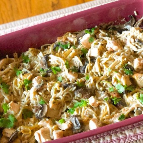 Dairy and Gluten Free Chicken Tetrazzini | Eating With Food Allergies Gluten Free Chicken Broth, Turkey Tetrazzini Recipe, Chicken Tetrazzini Recipes, Gluten Free Turkey, Dairy And Gluten Free, Turkey Tetrazzini, Chicken Tetrazzini, Recipe For Chicken, Allergy Free Recipes