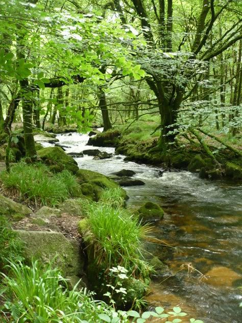 Small stream flowing into River Fowey (C) Lewis Potter :: Geograph ... Any one like this? Let me know! Stream Aesthetic, Shepherd Hut, River Stream, Forest Stream, Drawing Prompts, Landscape Elements, What Do You See, Forest River, September 2024