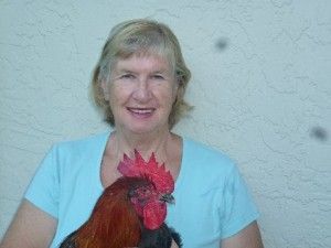 Bev Davis & Beautiful Copper Marans - photo courtesy of Bev Davis - "Bev Davis, is the current president of Marans Chicken Club USA." Marans Chicken, Urban Chicken, Raising Chicks, Chicken Club, Urban Chickens, Chicken Eggs, A P, Podcast, Promotion