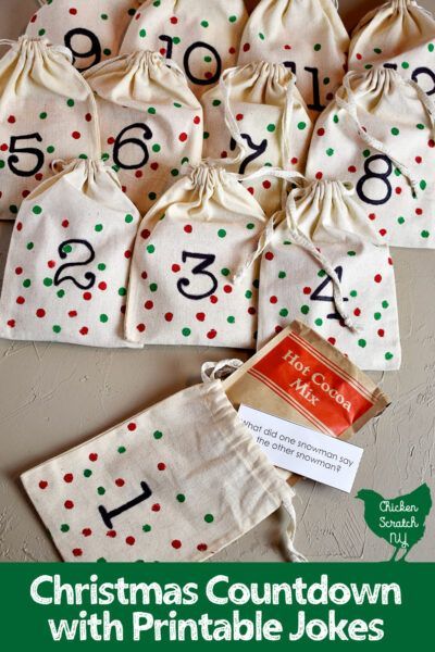 Easy Diy Advent Calendar, Diy Advent Calendar Ideas, Diy Christmas Countdown, Christmas Countdown Crafts, Wine Bag Pattern, Christmas Countdown Diy, Advent Calendar Ideas, Pinterest Crafts, Christmas Jokes