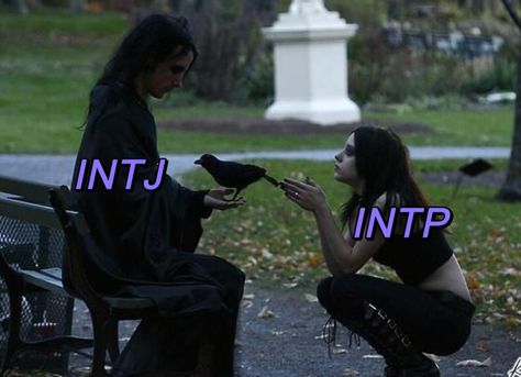 Intj Intp Friendship, Entp Intj Relationship, Intj Intp Relationships, Intp X Intj, Enfj Intp, Intp Relationships, Entp And Intj, Mbti Intp, Types Of Psychology