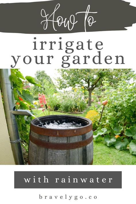 How to irrigate your garden with rainwater
Gardening, garden care, garden design, garden types, gardening supplies, planting Rain Collection System, Collecting Rainwater, Rain Barrel System, Water Collection System, Rainwater Harvesting System, Water Irrigation, Garden Whimsy, Water Collection, Garden Types