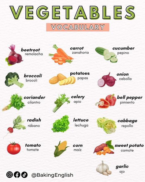 Vegetables In Spanish, Vegetables In English, English Word Book, Potato Onion, English Vocab, Growing Plants Indoors, Food Names, English Language Learning, English Class