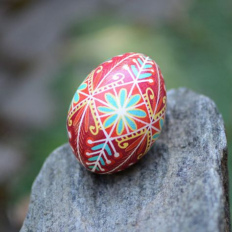 Pysanky Designs, Ukranian Eggs, Ukrainian Eggs, Egg Ideas, Egg Shell Art, Decorated Eggs, Ukrainian Easter, Pysanky Eggs, Ukrainian Easter Eggs