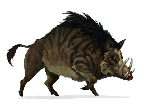 Wild Boar Art from Bless Online #art #artwork #videogames #gameart #conceptart #illustration #bless #blessonline #monsterart #creaturedesign #creatureart #monsterdesign Wild Boar Art, Emboar Pokemon, Boar Art, Pig Art, Fantasy Beasts, Wild Boar, Fantasy Creatures Art, Fantasy Monster