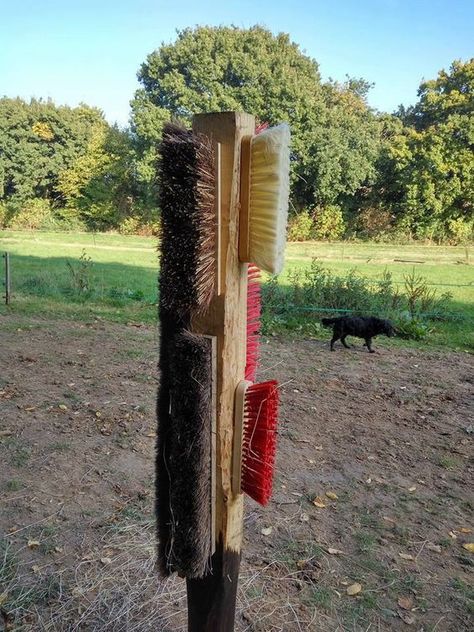 Goat Stalls In Barn, Diy Donkey, Donkey Shelter, Small Barn Ideas, Horse Lifestyle, Goat Playground, Horse Pasture, Horse Paddock, Horse Farm Ideas