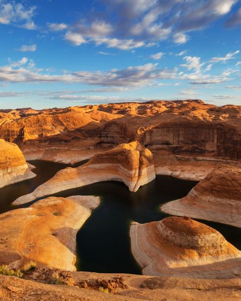 🌊✨ Lake Powell: A Desert Oasis Like No Other 🏜️ Where red rock canyons meet shimmering blue waters, Lake Powell is the ultimate escape for adventure seekers and nature lovers alike. Whether you’re boating, hiking, or simply soaking in the views, this breathtaking destination will leave you in awe! 📍 Lake Powell, Utah, USA 🎒 Pro Tip: Rent a kayak to explore hidden coves or take a boat tour to see the famous Rainbow Bridge. Sunrise and sunset are the best times for stunning photos! #LakePow... Lake Powell Utah, Usa Pro, Sunrise And Sunset, Utah Usa, Lake Powell, Desert Oasis, 2025 Vision, Boat Tours, Red Rock