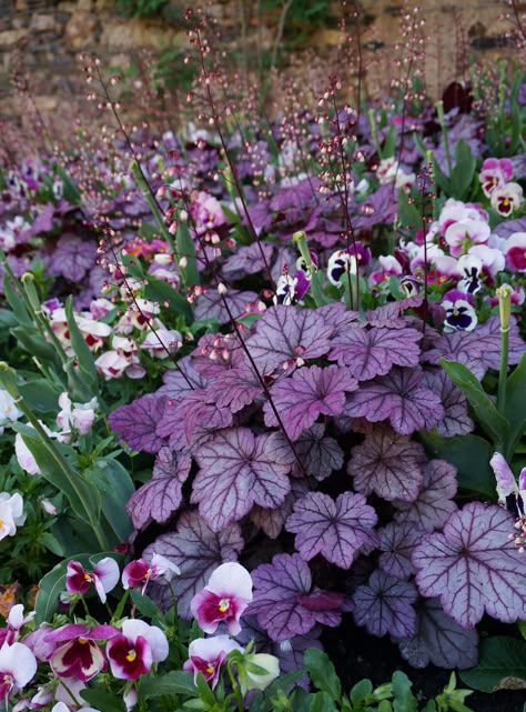 Planters For Shade, Purple Garden, Shade Perennials, The Secret Garden, Plant Combinations, Perennial Garden, Shade Plants, Gorgeous Gardens, Garden Cottage