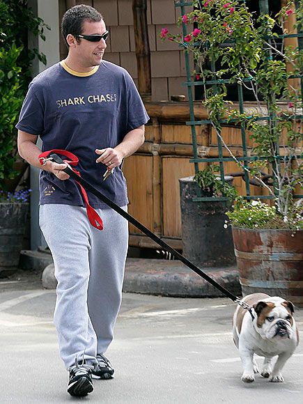 Adam Sandler with his Bulldog Meatball Big Daddy Adam Sandler, Adam Sandler Style Girl, Adam Sandler Iconic Fits, Grown Ups Adam Sandler, Funny People Movie Adam Sandler, Grumpy Dog, Superman Shirt, Spirit Week Outfits, Victoria And David