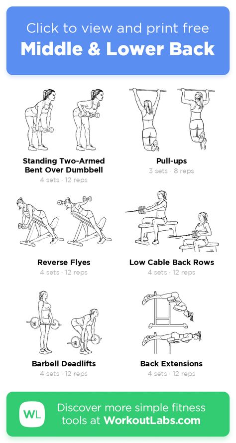 Mid Back Exercises Gym, Lower Traps Exercises, Lower Back Excersises For Women, Core And Lower Back Workout, Lower Back Exercises Women Gym, Middle Back Workout Women, Lower Back Exercises Gym, Lower Back Muscle Workout, Lower Back Gym Workout