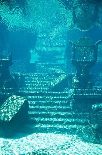 The Lost City of Atlantis | I found it in Nassau. Go figure!… | Flickr Underwater Cities Ruins, Underwater Palace Aesthetic, Underwater City Ruins, Underwater Kingdom Aesthetic, Ocean Kingdom Aesthetic, Water Kingdom Aesthetic, Lost City Of Atlantis Aesthetic, Underwater Grotto, Mera Aesthetic