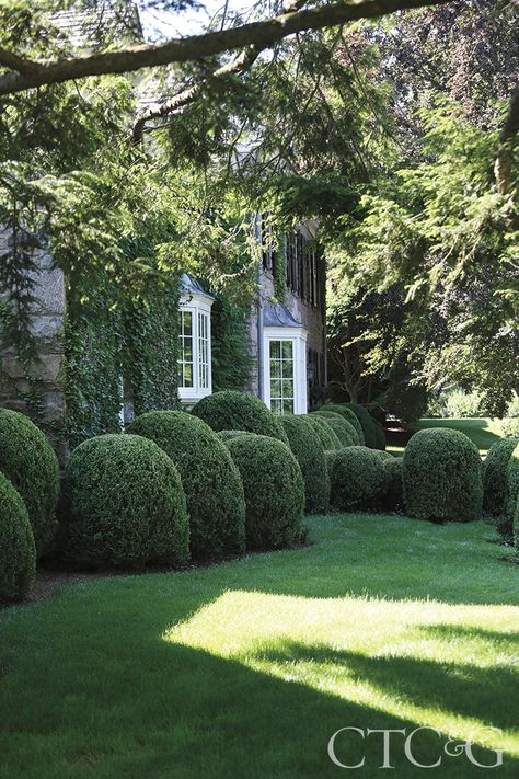 Black Green House, Willie Cole, Perennial Borders, Boxwood Landscaping, Cottage Patio, Formal Garden Design, Boxwood Garden, British Landscape, Classical House