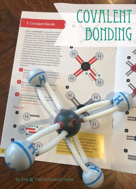 Exploring Covalent Bonding with Home Science Tools: A Mini-Unit from Eva Stem Chemistry, Chemical Bonding, Chemistry Projects, Home Science, Chemical Compounds, High School Curriculum, Covalent Bonding, High School Chemistry, Chemical Bond