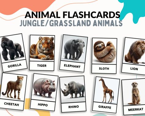 Farm Animal Flashcards, Grassland Animals, Life Image, Teaching Vocabulary, Animal Flashcards, Preschool Kindergarten, Farm Animal, Toddler Preschool, Educational Activities