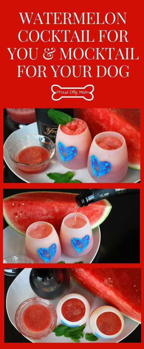 Watermelon Mimosa Cocktails For You and Mocktails For Your Dog | Dog Drink | Dog Treat Recipe | DIY Dog Treat Recipe | Drinks For Dogs, Watermelon Mimosa, Dog Drinks, Watermelon Ideas, Dog Cocktail, Mimosa Cocktail, Dogs Treats, Cocktails And Mocktails, Watermelon Cocktail