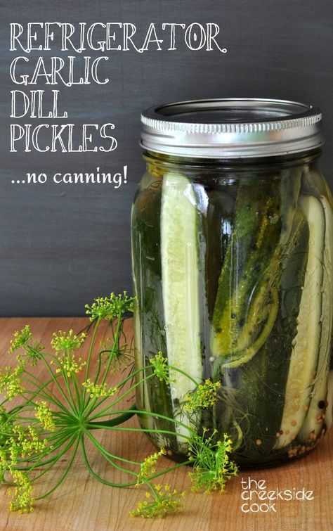 Super crunchy, super tasty, super easy - what more can you ask for in a pickle? Refrigerator Garlic Dill Pickles | The Creekside Cook Easy Dill Pickles, Pickles Canning, Refrigerator Pickles Dill, Garlic Dill Pickles, Homemade Pickles Dill, Canning Pickles, Refrigerator Pickles, Dill Pickles, Homemade Pickles