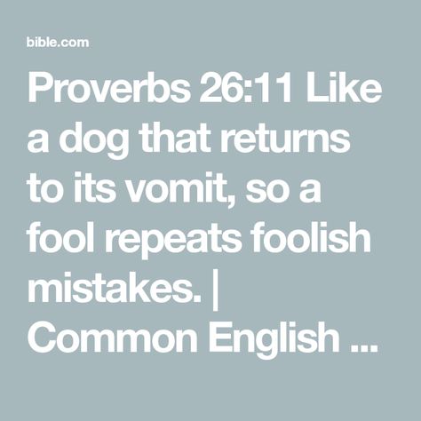 Proverbs 26:11 Like a dog that returns to its vomit, so a fool repeats foolish mistakes. | Common English Bible (CEB) | Download The Bible App Now A Dog Returns To His Vomit, Proverbs 26 11, Proverbs 26, Word Inspiration, Brain Pickings, Mistake Quotes, Bible Plan, Quotes Prayer, Life Motto