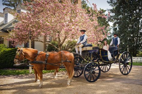 18th Century Wedding Theme, Colonial Wedding Theme, 1800s Wedding, Colonial Wedding, Colonial Life, Williamsburg Virginia, Bridal Guide, Colonial America, Hot Stone Massage