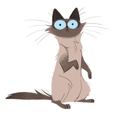 Daily Cat Drawings - Squirrel! Cat Drawing Tumblr, Daily Cat Drawings, Cat Drawings, Scared Cat, Cat Doodle, Drawing Faces, Cat Character, Cats Illustration, Funny Cat Pictures