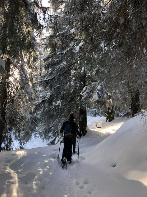 An Easy Winter Snowshoe Hike in Ibergeregg - NewinZurich - Your Guide To Living in Zurich Switzerland Travel Winter, Switzerland Travel Itinerary, Valais Switzerland, Switzerland Travel Guide, Scenery Beautiful, Family Travel Photography, Dome Building, Switzerland Hotels, Winter Hike