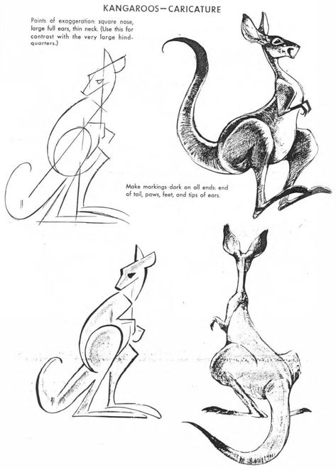 Elements Of Design Form, Drawing Construction, Kangaroo Illustration, Animal Design Illustration, Kangaroo Art, Cartoon Tutorial, Elephant Sketch, Cartoon Drawings Of Animals, Nature Sketch